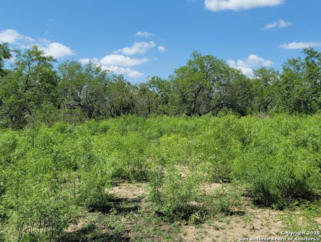 Image 6 of 23 For 2142 Blue Creek
