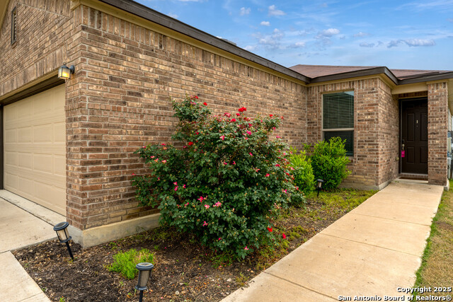 Image 5 of 26 For 4650 Trevor Way