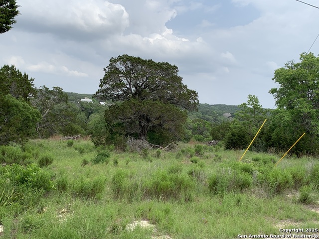 Image 2 of 7 For 421 Cliffview