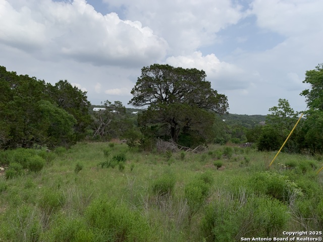 Image 3 of 7 For 421 Cliffview