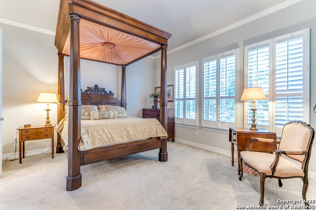 Image 13 of 26 For 28834 Bluebottle