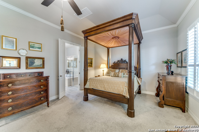 Image 14 of 26 For 28834 Bluebottle