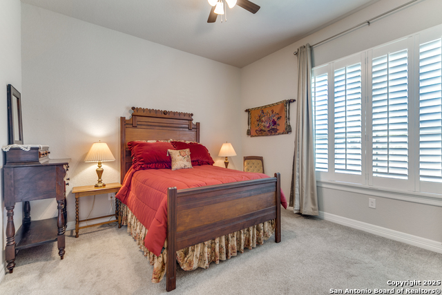 Image 18 of 26 For 28834 Bluebottle