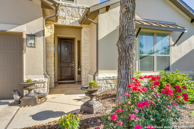 Image 2 of 26 For 28834 Bluebottle