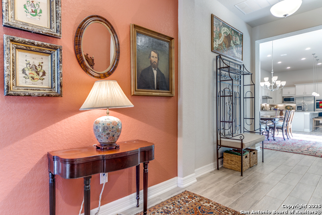 Image 3 of 26 For 28834 Bluebottle