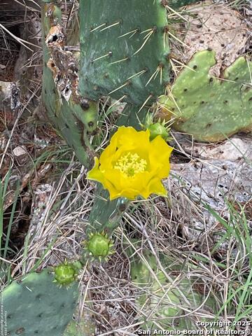 Image 11 of 17 For 22167 Fm 306