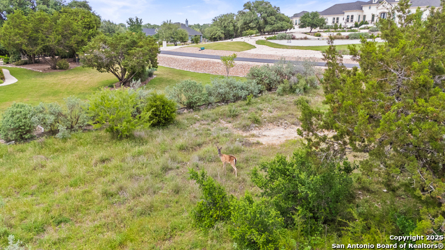 Image 15 of 21 For 2542 Black Bear Drive