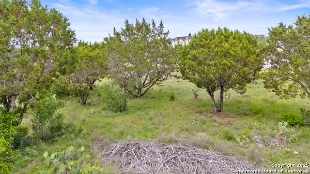 Image 7 of 21 For 2542 Black Bear Drive