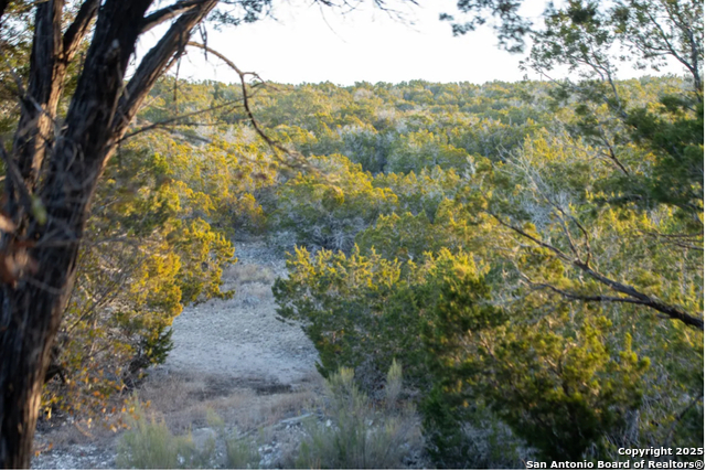 Listing photo id 8 for 350 Sd 23110