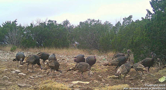 Listing photo id 11 for 350 Sd 23110