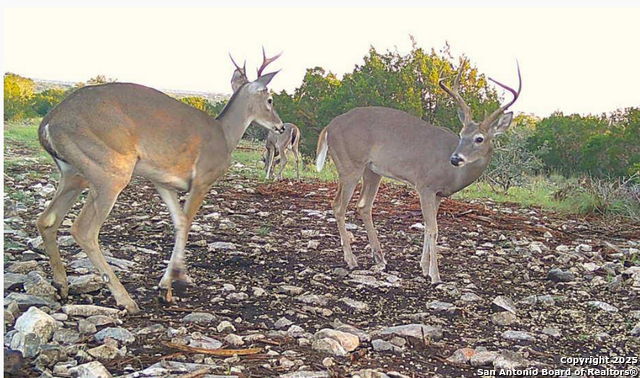 Listing photo id 12 for 350 Sd 23110