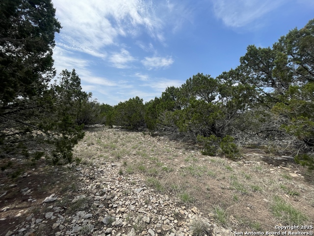 Listing photo id 13 for 350 Sd 23110