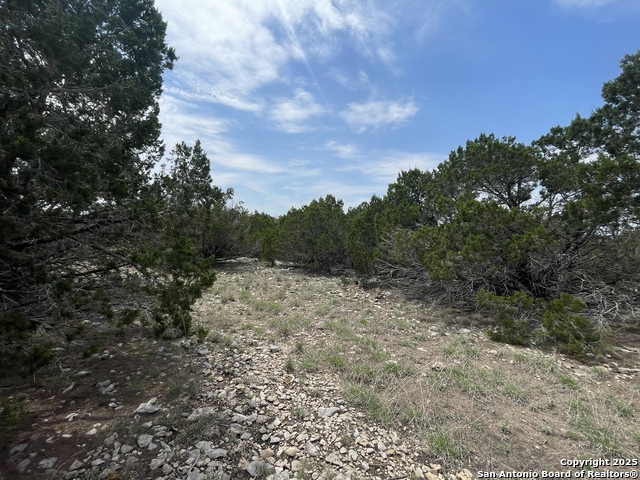 Listing photo id 6 for 350 Sd 23110