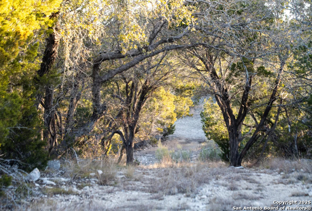 Listing photo id 7 for 350 Sd 23110