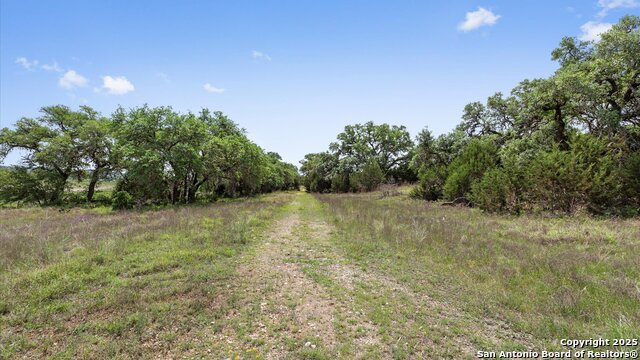 Image 19 of 20 For 571 Stork Circle