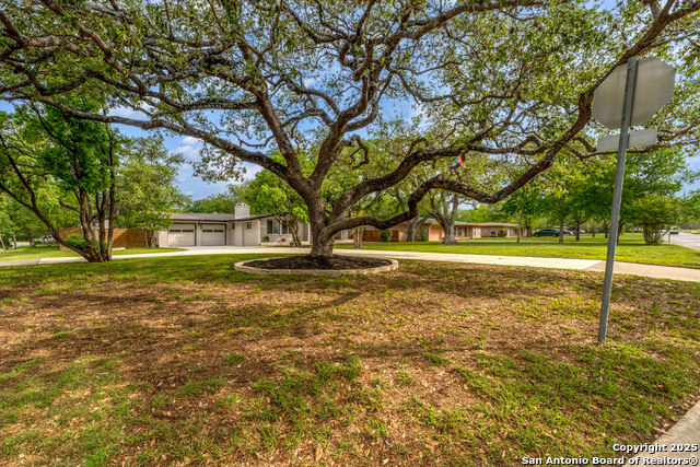 Image 3 of 29 For 111 Lemonwood