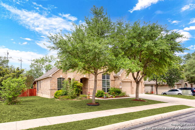 Listing photo id 0 for 15807 Socorro