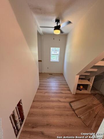 Listing photo id 8 for 354 Paradise