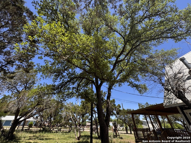 Listing photo id 42 for 354 Paradise