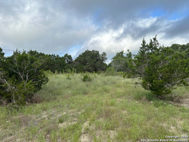 Listing photo id 1 for 161 Magnolia
