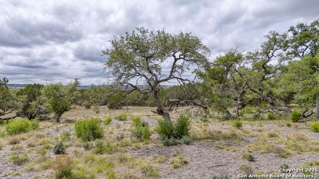 Image 16 of 29 For Lot 24 Seep Springs Drive