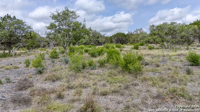 Image 9 of 29 For Lot 24 Seep Springs Drive