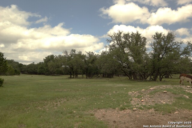 Listing photo id 3 for 510 Dead End Rd.