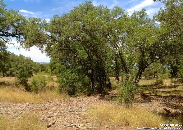 Image 2 of 12 For Lot 68 Lariat Trace