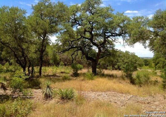 Image 4 of 12 For Lot 68 Lariat Trace