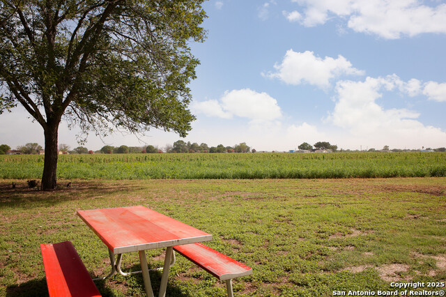 Listing photo id 12 for 4901 Lower Seguin