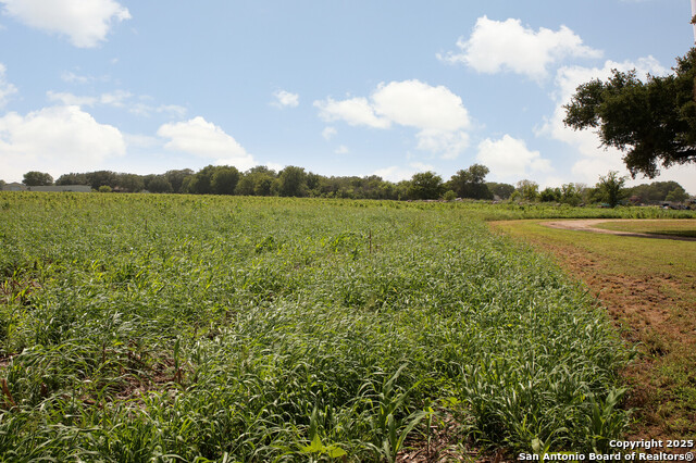 Listing photo id 13 for 4901 Lower Seguin