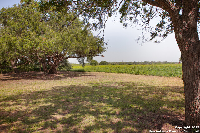 Listing photo id 14 for 4901 Lower Seguin