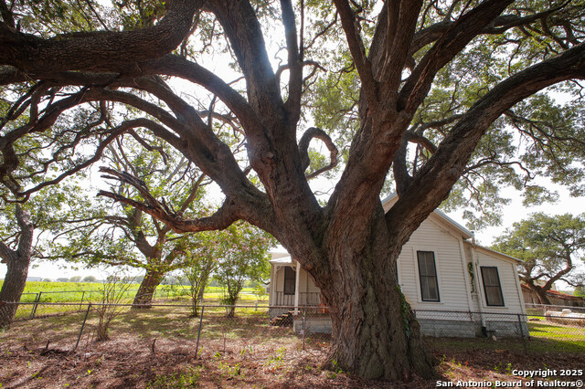 Listing photo id 7 for 4901 Lower Seguin