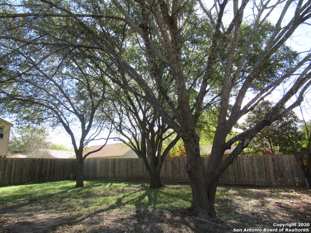 Image 17 of 22 For 3318 Country View