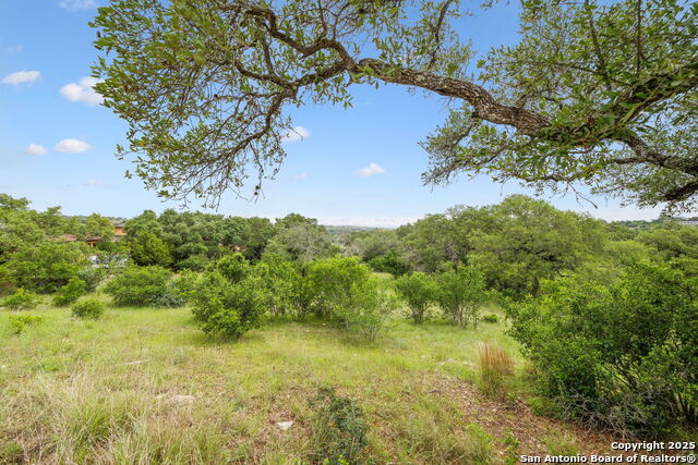 Image 14 of 35 For 257 Augusta  