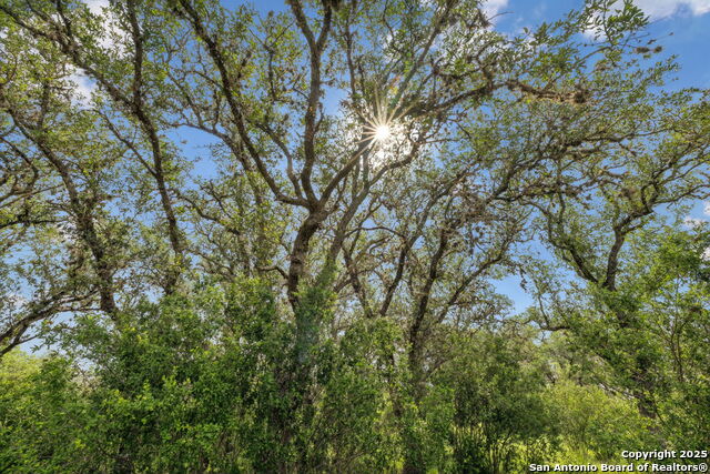 Image 18 of 35 For 257 Augusta  