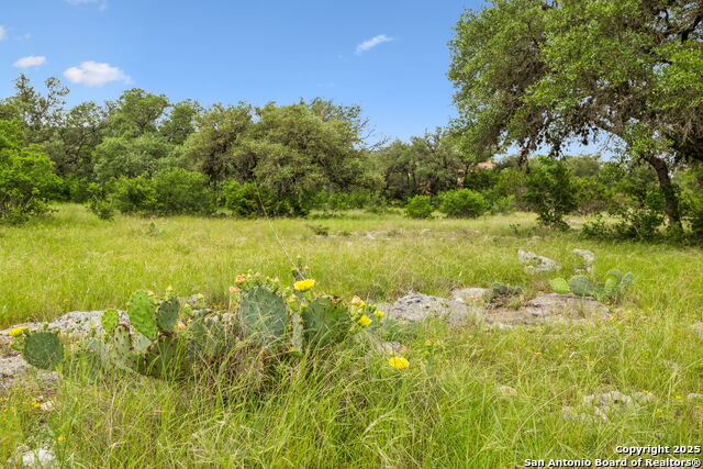 Image 24 of 35 For 257 Augusta  