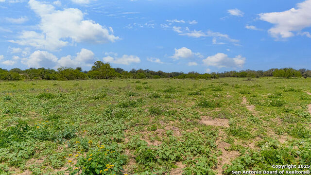 Listing photo id 8 for 230 Clear Lake