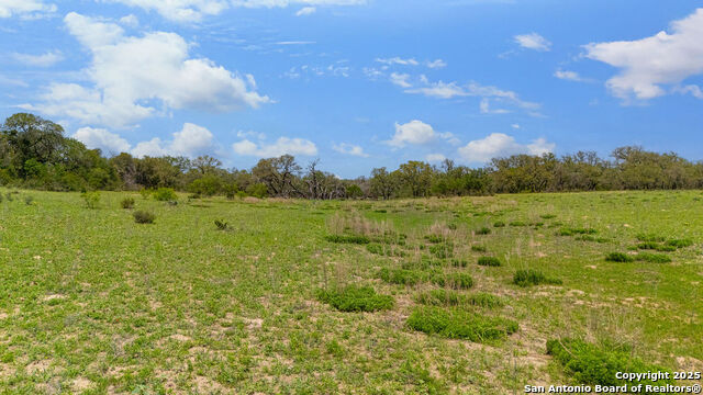 Listing photo id 20 for 230 Clear Lake