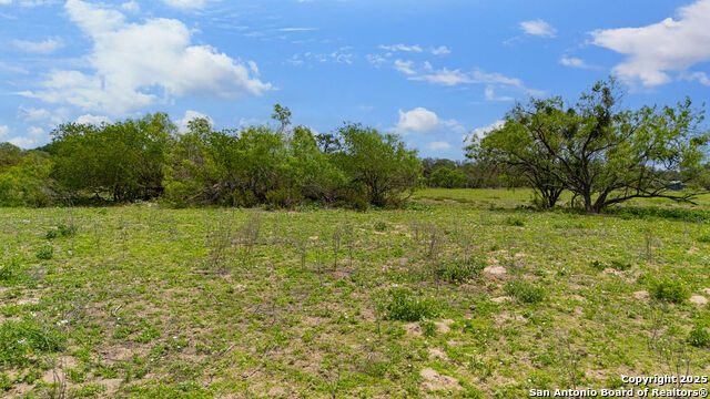 Listing photo id 22 for 230 Clear Lake