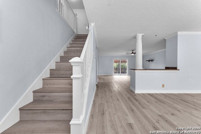 Image 5 of 48 For 18606 Paloma Wood