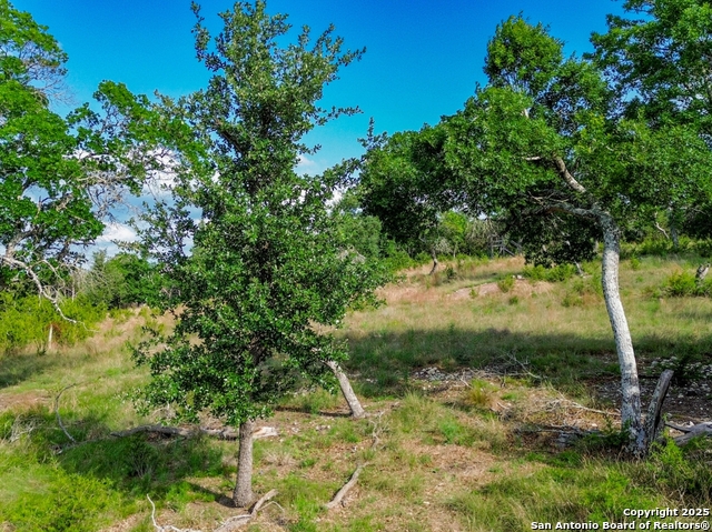 Listing photo id 20 for 45 Mayacama