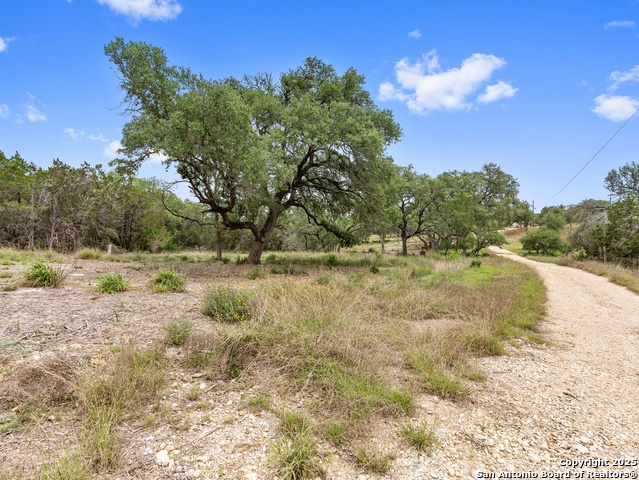 Listing photo id 5 for 504 | 506 Oak Grove