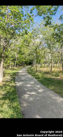 Listing photo id 15 for 11009 Forest Crown