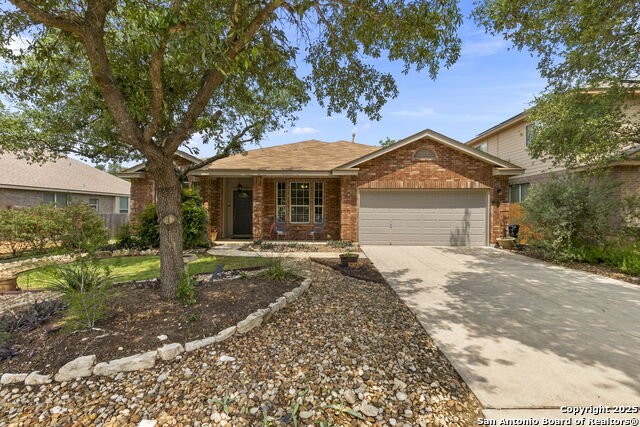 Details for 23003 Tornillo Drive, San Antonio, TX 78258