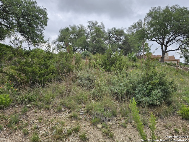 Listing photo id 8 for 0000 Military Dr