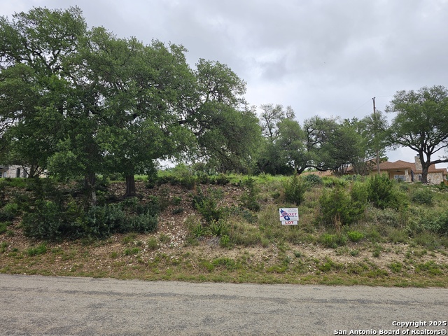 Listing photo id 11 for 0000 Military Dr