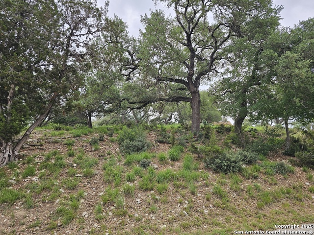 Listing photo id 12 for 0000 Military Dr