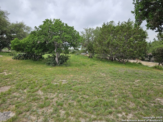 Listing photo id 17 for 0000 Military Dr