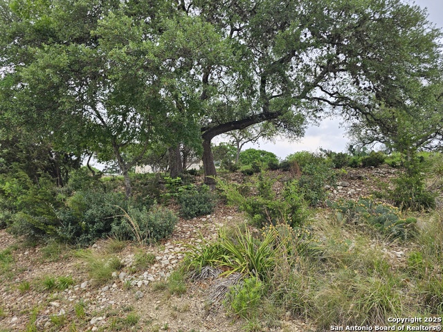 Listing photo id 7 for 0000 Military Dr